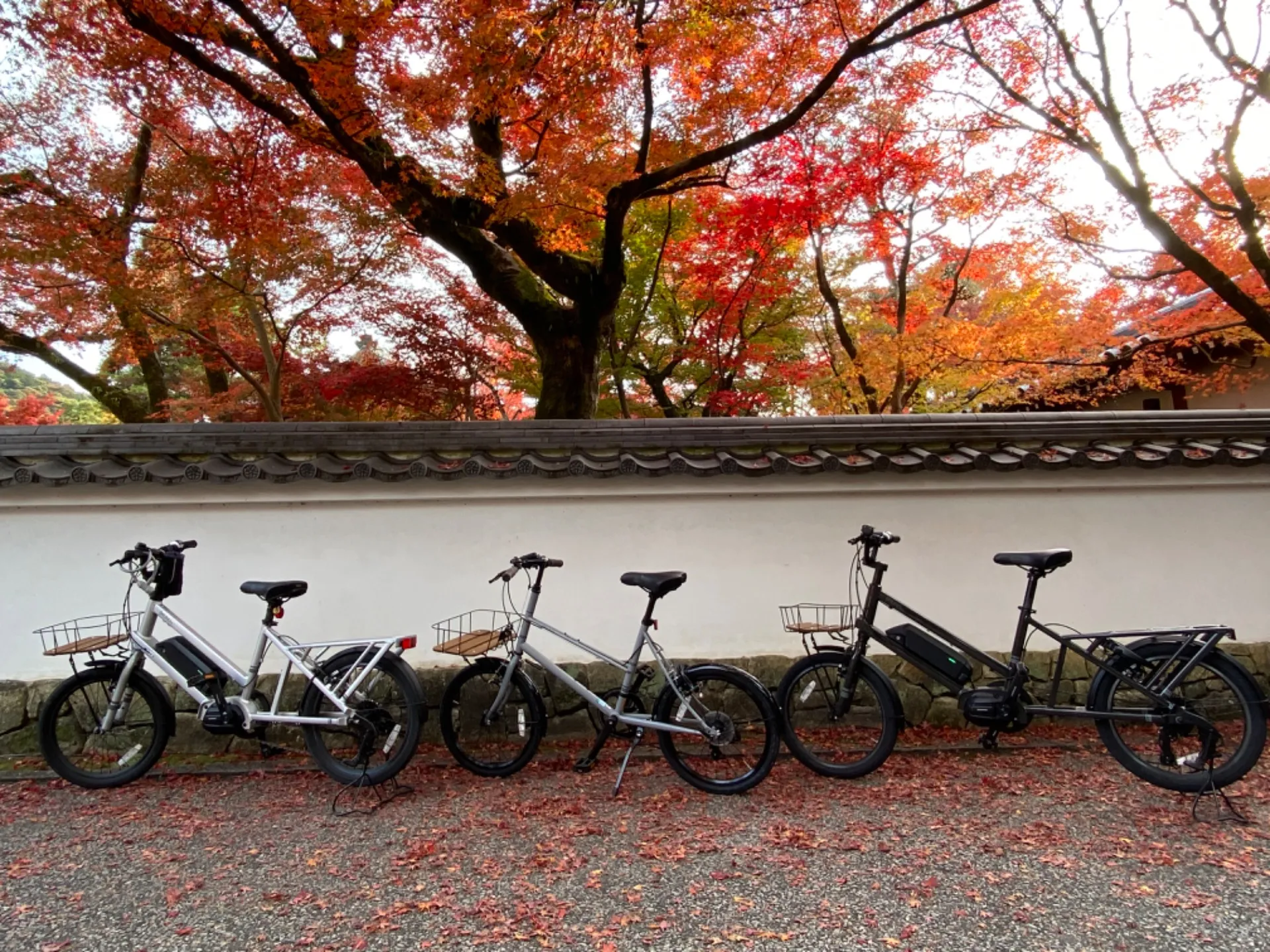 自転車に乗って、京都の温かくて美味しいもの探しに行きましょ！