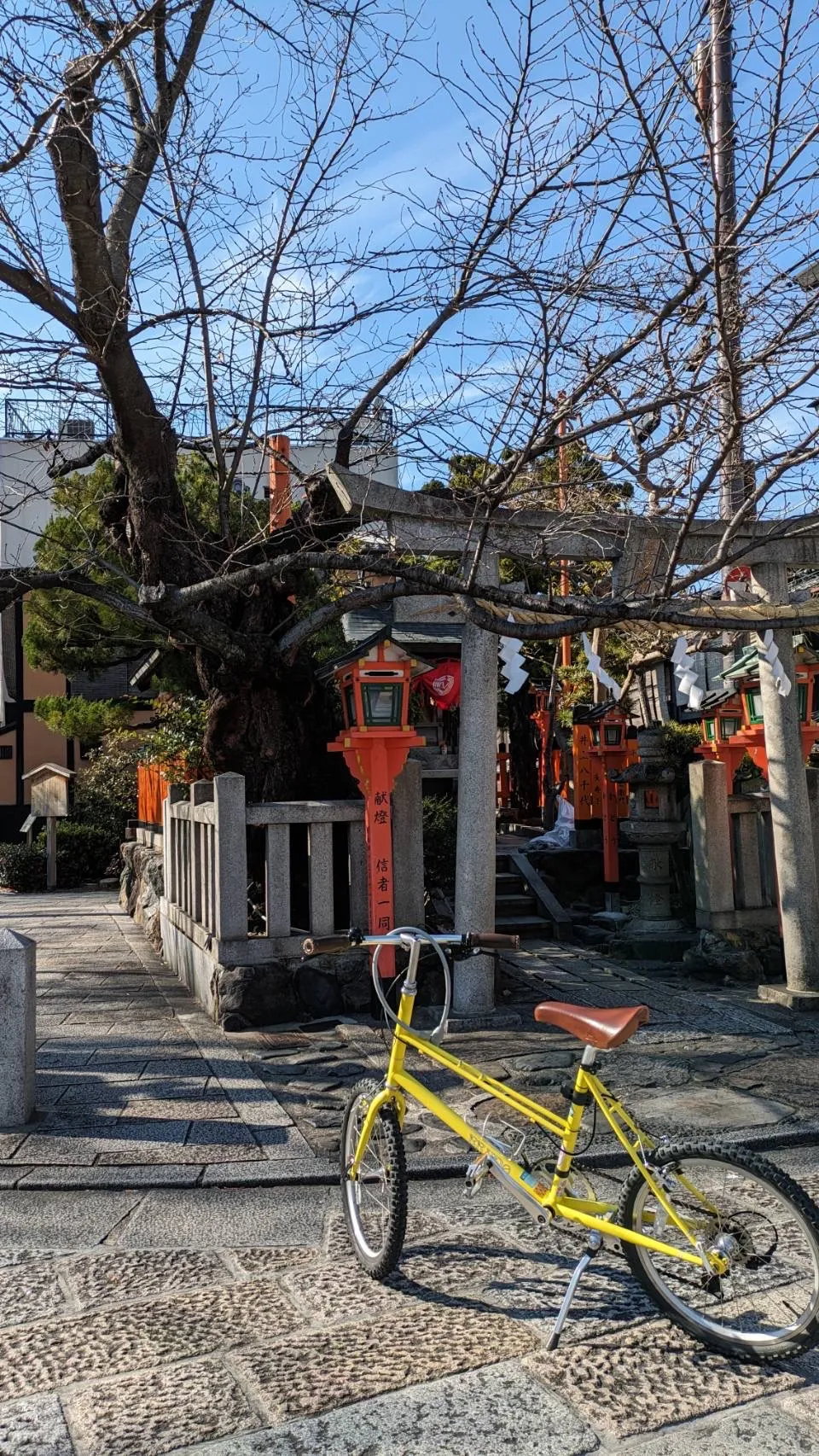2月の京都は春が待ち遠しいですー！