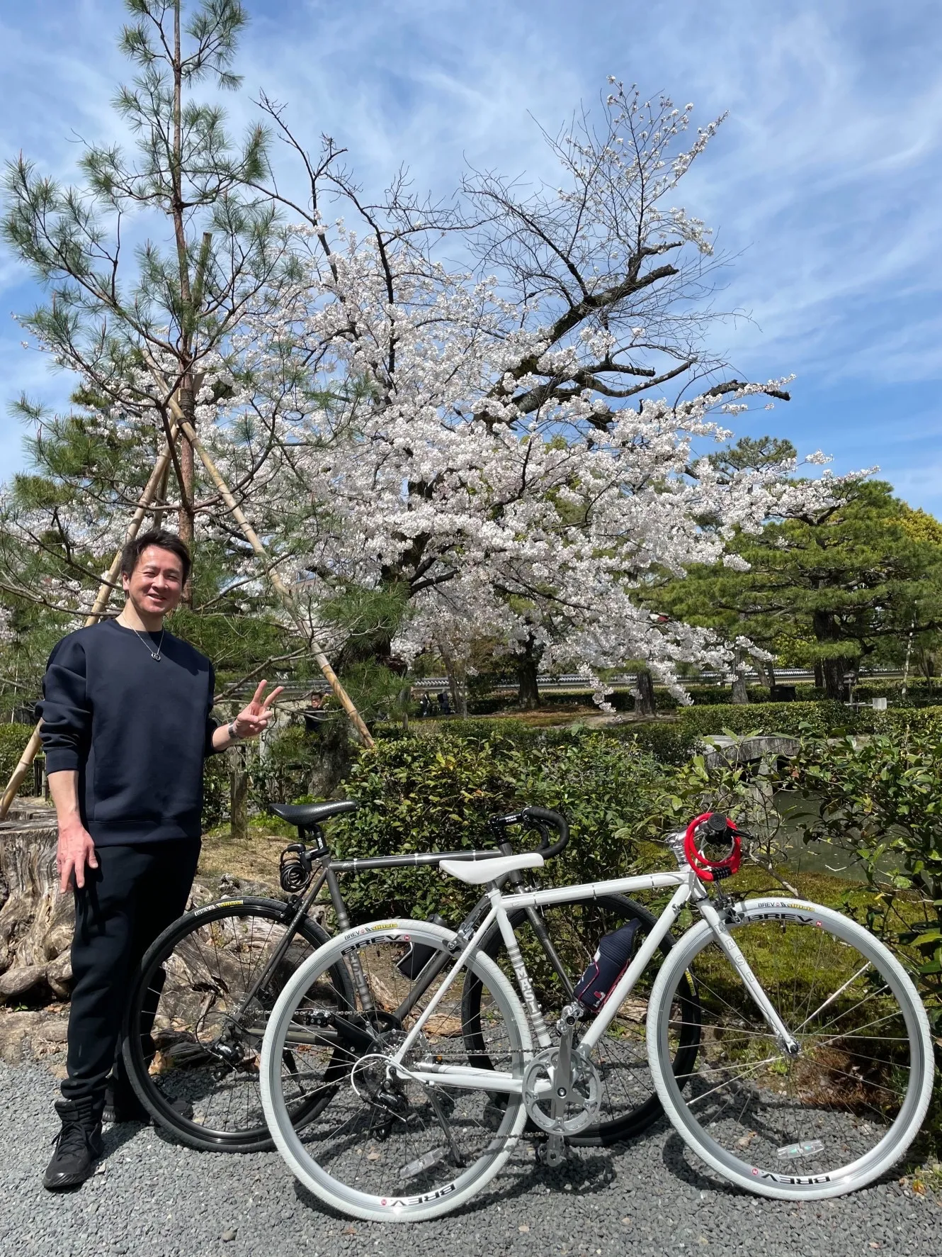 桜はやっぱりきれい！The cherry blossoms are beautiful