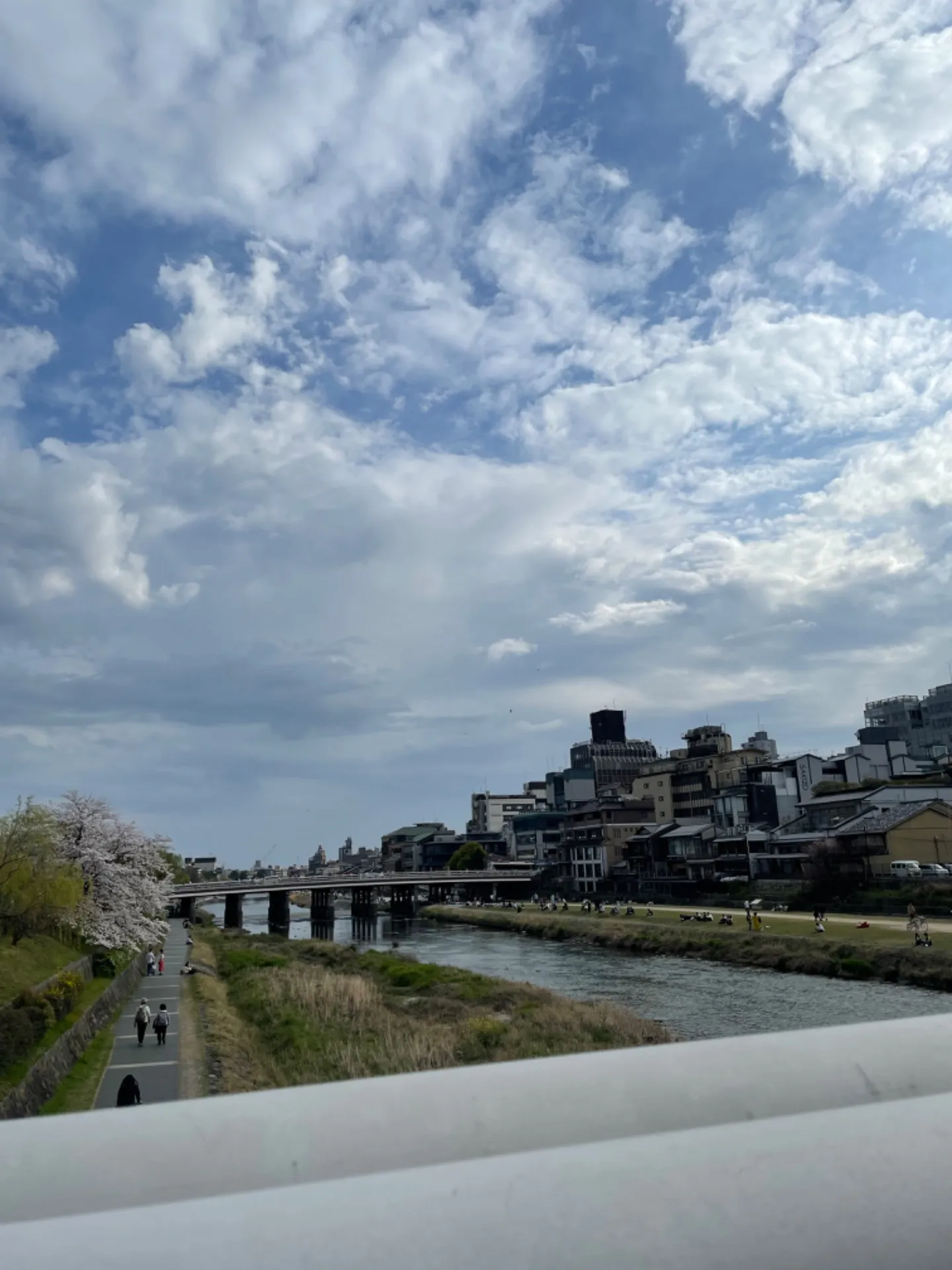 5月の京都も面白い！Kyoto in May is also interesting