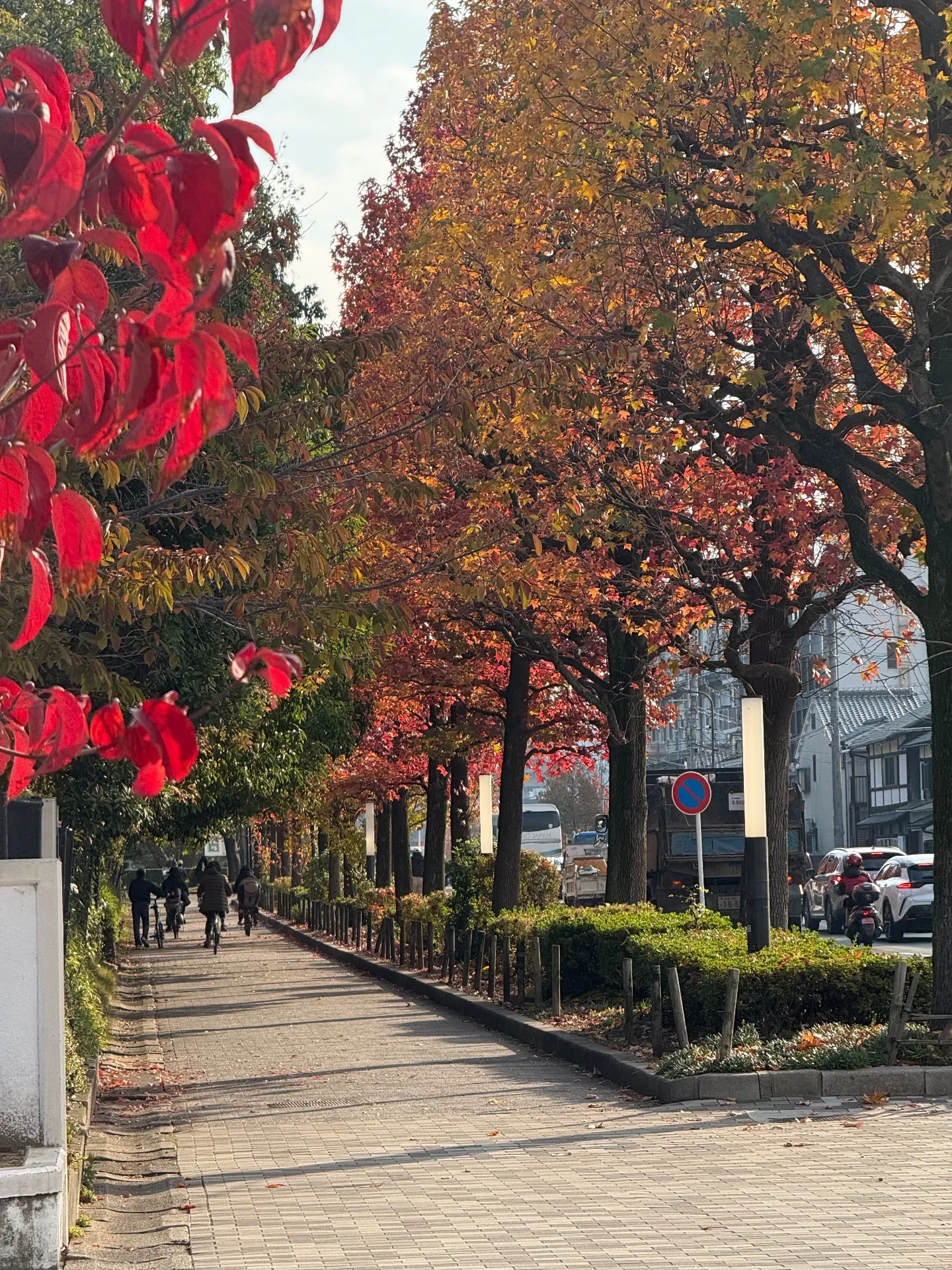 12月の京都 Kyoto in December