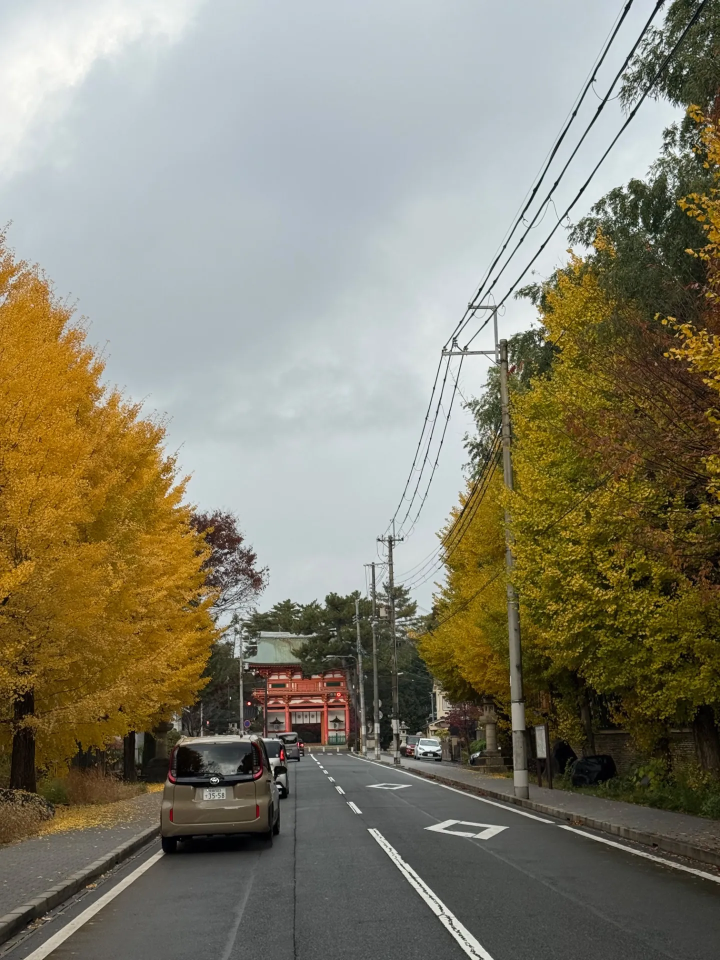 レンタサイクルを手軽に使いこなす料金計算と安全ポイント徹底ガイド