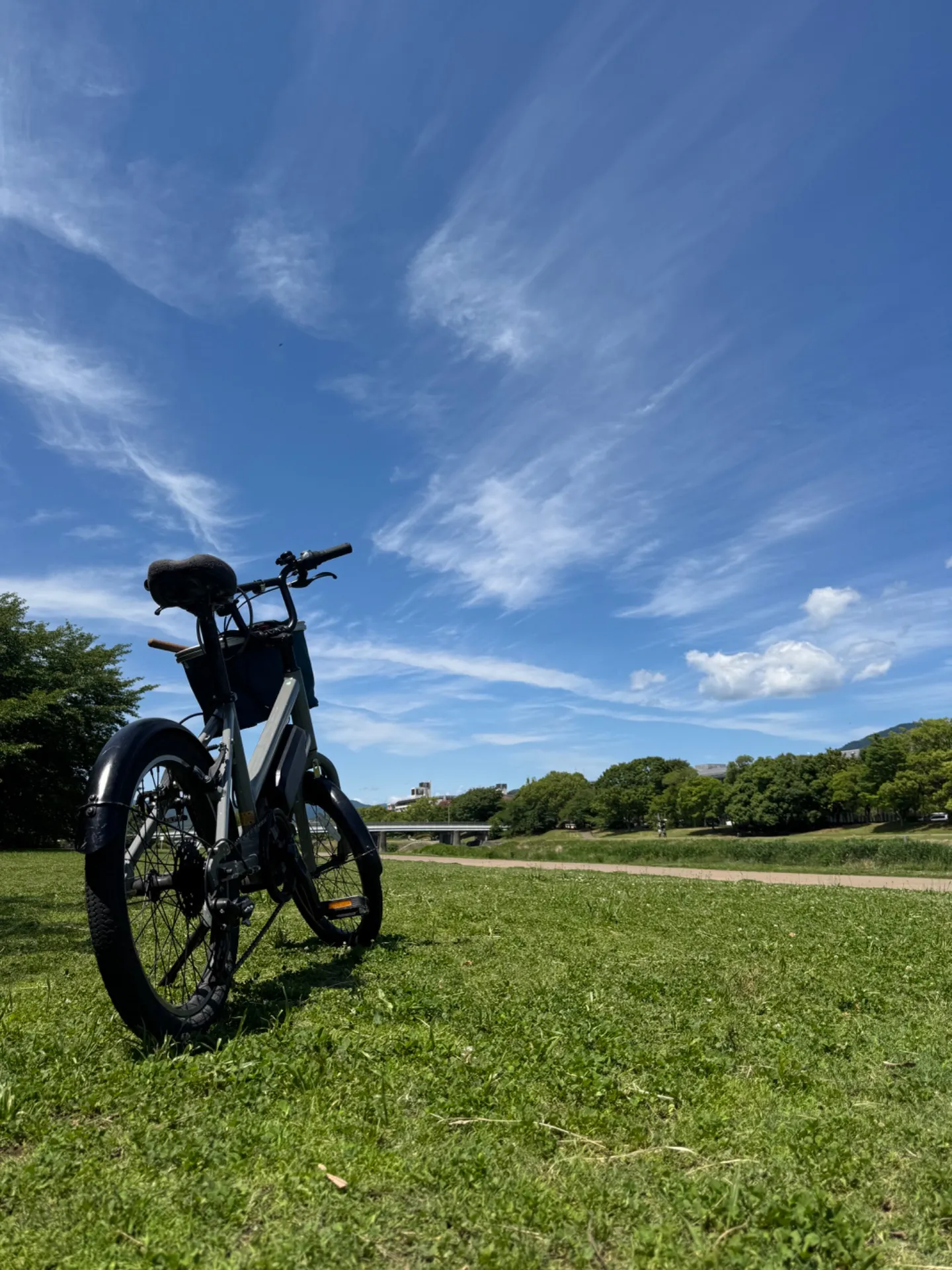 レンタサイクルで公園巡り京都府をお得に楽しむ快適サイクリング術